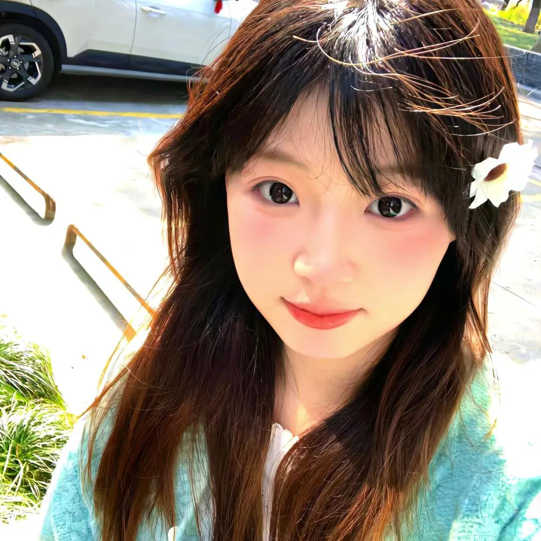 真情玫瑰